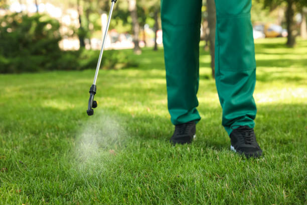 Best Termite Control Services  in Friday Harbor, WA