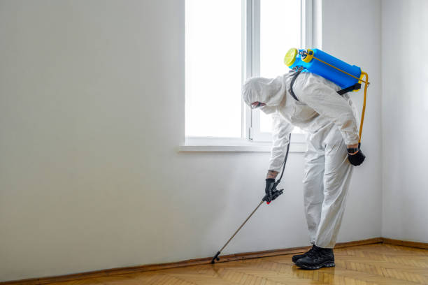 Best Mosquito Control Services  in Friday Harbor, WA