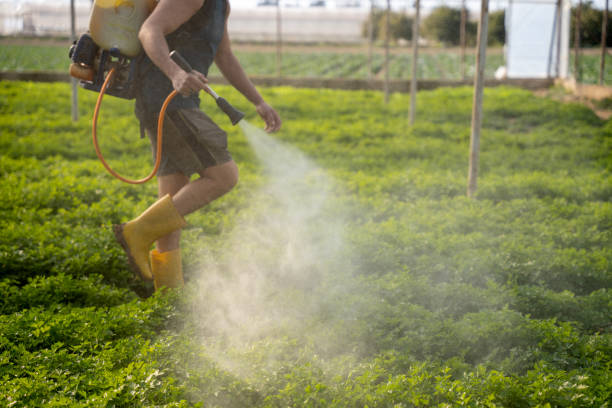 Best Best Pest Control Companies  in Friday Harbor, WA