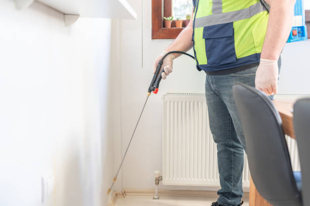Best Wasp Removal Services  in Friday Harbor, WA