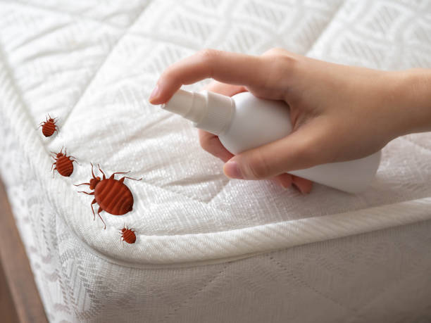 Best Pest Control Near Me in Friday Harbor, WA