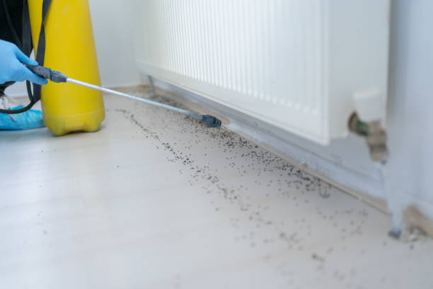 Best Cockroach Control Services  in Friday Harbor, WA