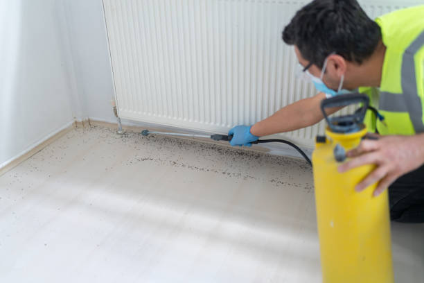 Best Pest Prevention Services  in Friday Harbor, WA
